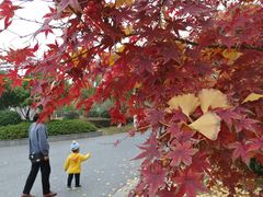 -江南大学(蠡湖校区)