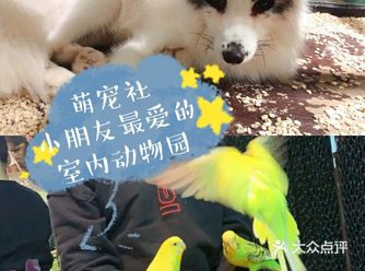 萌宠社小朋友最爱的室内动物园