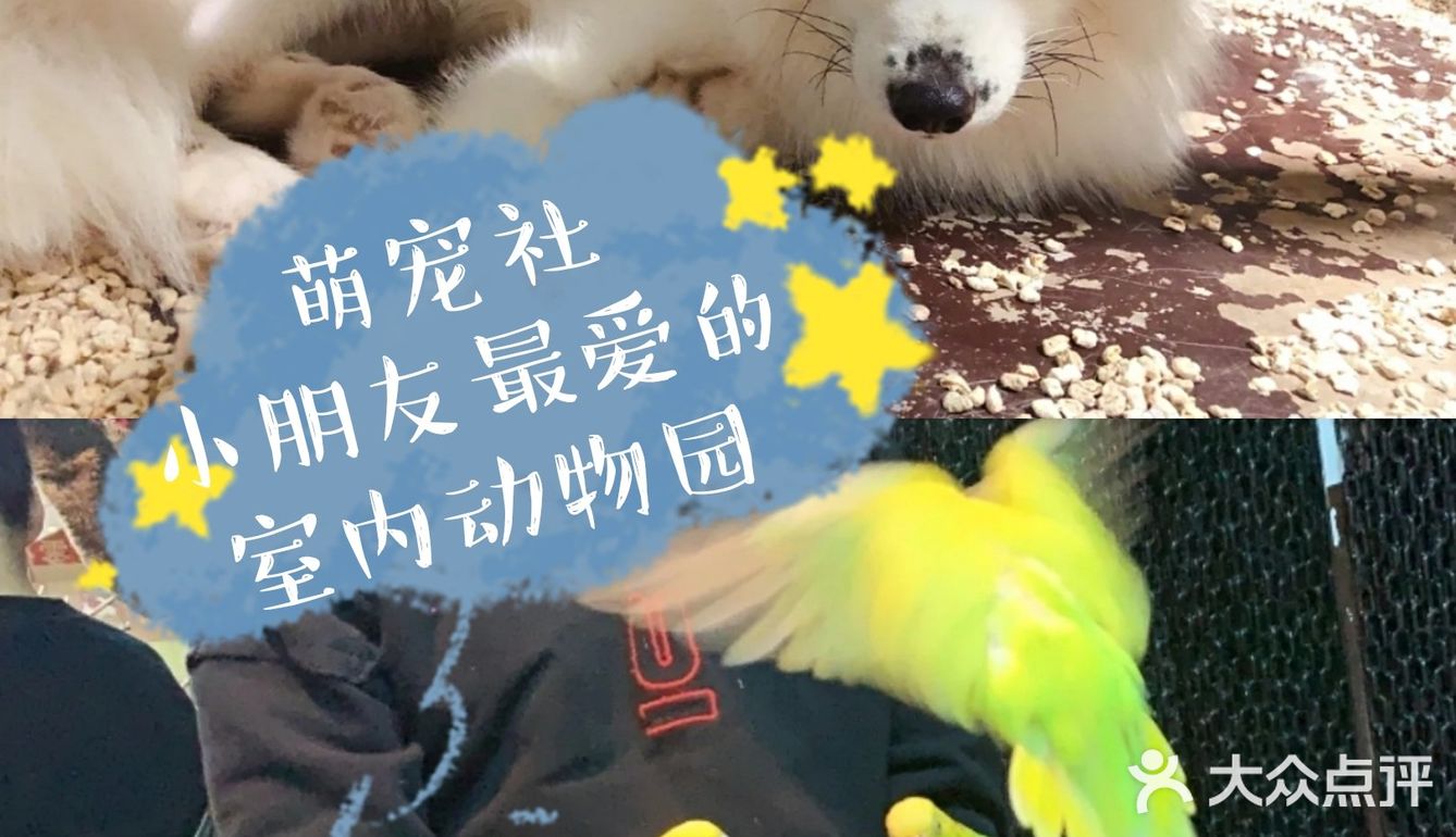 萌宠社[胜利]小朋友最爱的室内动物园