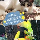 萌宠社[胜利]小朋友最爱的室内动物园