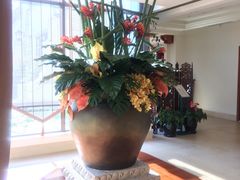 -苏州湾王焰温泉度假酒店