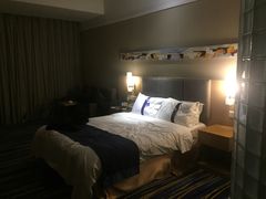 -天津和平智选假日酒店