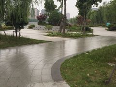 iphone_upload_pic-南翔镇银翔湖公园