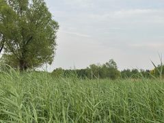 -马家湾湿地公园