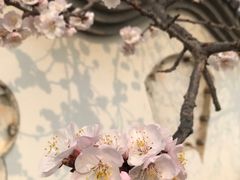 -北京鹫峰国家森林公园