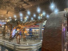 -国家自然博物馆