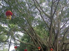 -海南热带野生动植物园