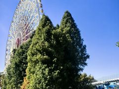 -七彩云南欢乐世界