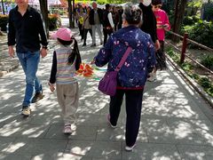 -嘉定紫藤园