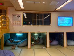 -汤泉良子.足疗按摩.SPA(中关村店)