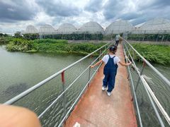 -马陆小张葡萄园农家乐