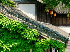 -鲁镇