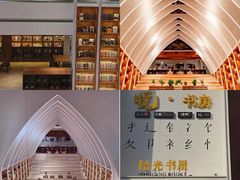 -合肥海洋世界