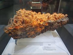 -湖南省地质博物馆