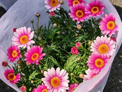 -上海交通大学(闵行校区)