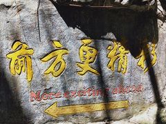 -海南热带野生动植物园