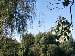 -廊坊市自然公园