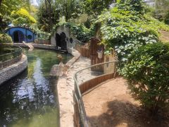 -南宫五洲植物乐园