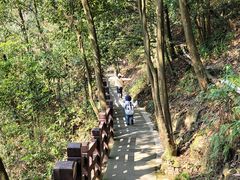 -缙云山景区
