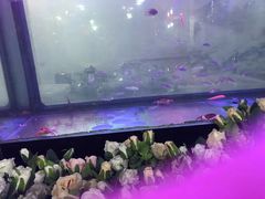 -潮发潮汕牛肉店(龙洞店)