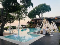 -卷心菜和避孕套餐厅(Pattaya)