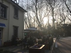 -也枫·小黄楼(南山路旗舰店)