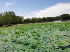 -太阳宫公园