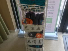 -绿城奇妙园双语日托(华茂悦峰园区)