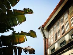 -槟城街头艺术街区