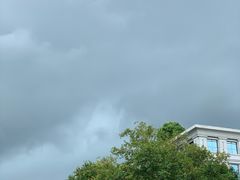 -知味观(湖滨总店)