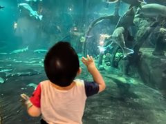 -华夏文旅海洋公园