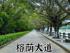 -大湾区中央湿地公园