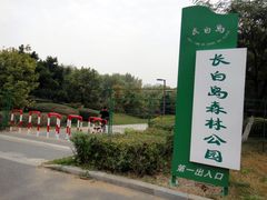 -长白岛森林公园