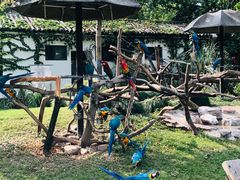 -上海动物园(地铁站)