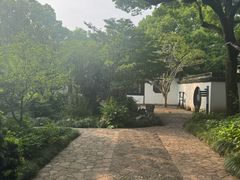 -上海醉白池公园