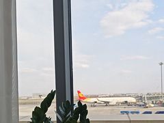 -哈尔滨太平国际机场-T2航站楼
