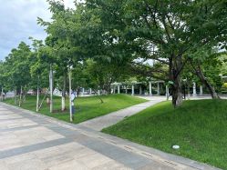 -BabyA 专业婴童摄影(古北时尚广场店)