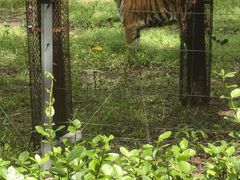 -秦皇岛野生动物园