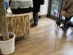 -爱侣·安琦尔宠物医院·中兽医针灸·心内科·狂犬免疫点(宝山区院)