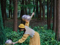 -昆山城市生态森林公园