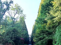 -上海怡沁园度假酒店