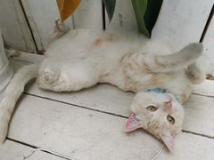 -小时光咖啡馆(北锣鼓巷店)