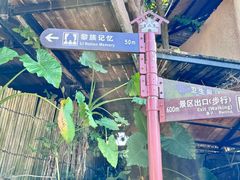 -海南槟榔谷黎苗文化旅游区