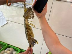 -凯华海鲜火锅·传承三十六年