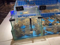-加餐海鲜自助(集美银泰百货店)