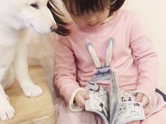 -喜柴咖啡·柴犬狗咖