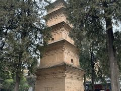 -兴教寺
