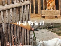 -乌村