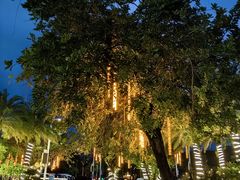 -三亚游船旅游中心(三亚鹿回头游艇游船公共码头店)