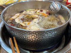 -乳仔牛牦牛汤锅 烤羊排(松潘古城店)